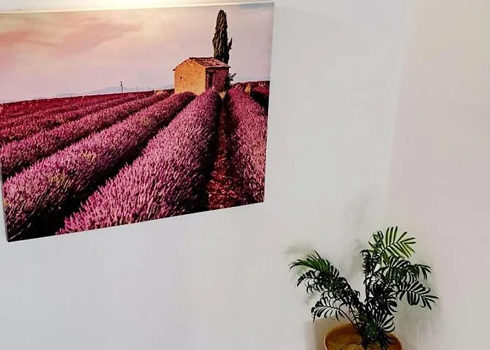 Apartamento Punta Panoramic - Punta Mujeres