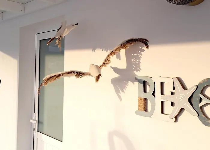 Punta Panoramic - Apartment